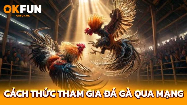 Cách thức tham gia đá gà qua mạng