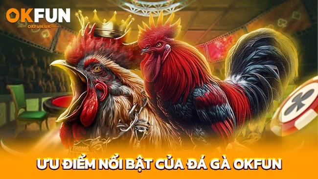 Ưu điểm nổi bật của đá gà OKFUN
